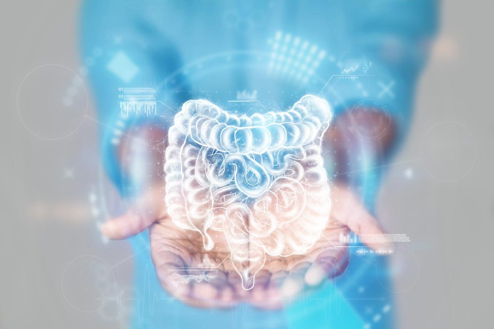 Health benefits of probiotics and prebiotics: Dual defense for gut microbiome and immune protection