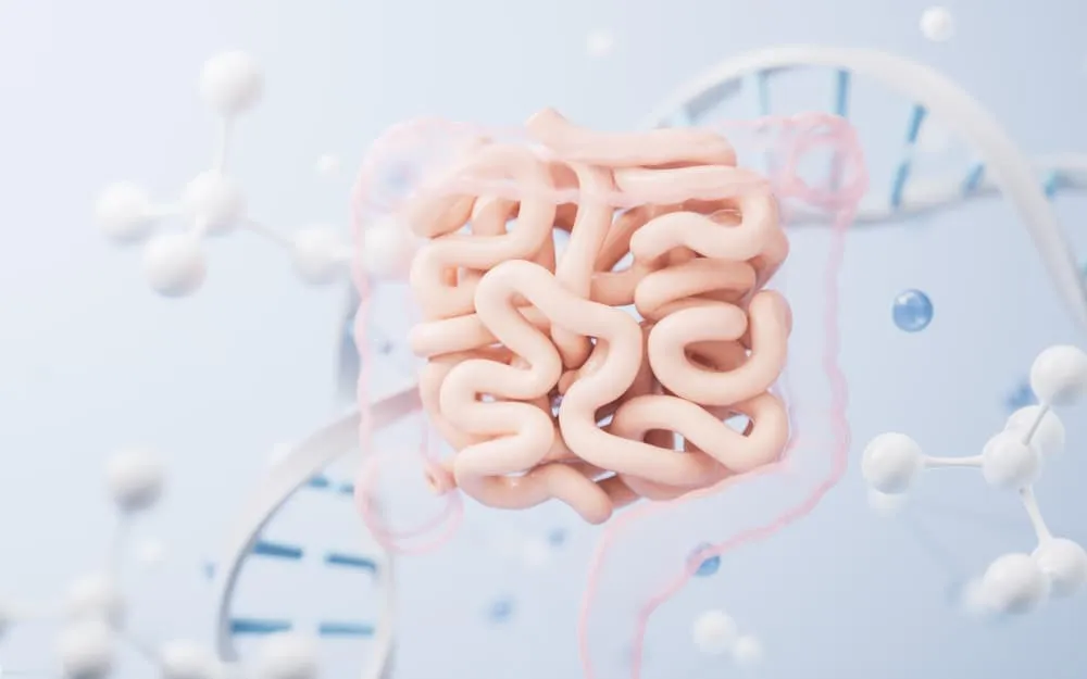 為什麼腸道健康會影響免疫調理能力?